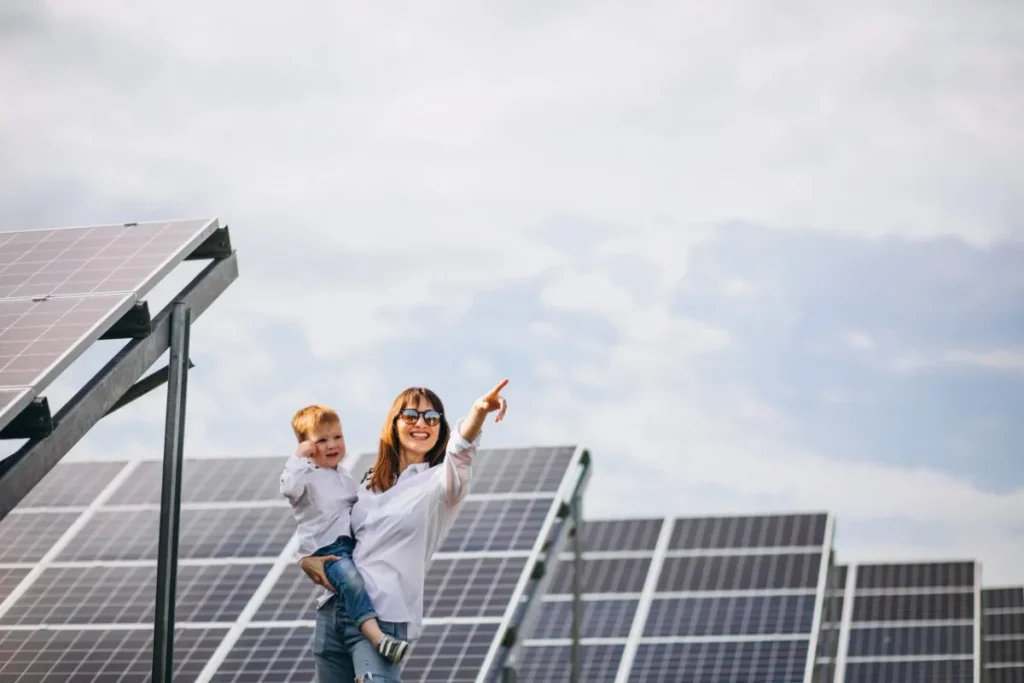 solar panel service